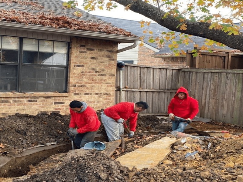 Long Term Structural Risks When Root Systems Damage Foundations