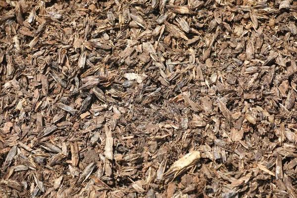 Mulch Delivery Morris County Premium Quality at Low Cost