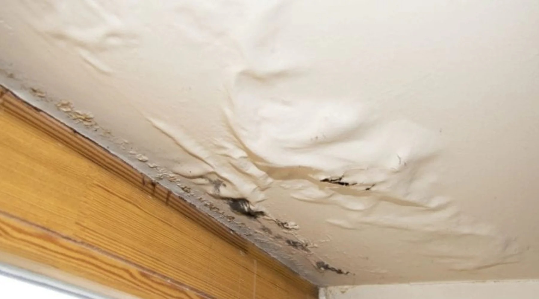 Affordable Water Damage Repair in Oregon City Without Compromising Quality
