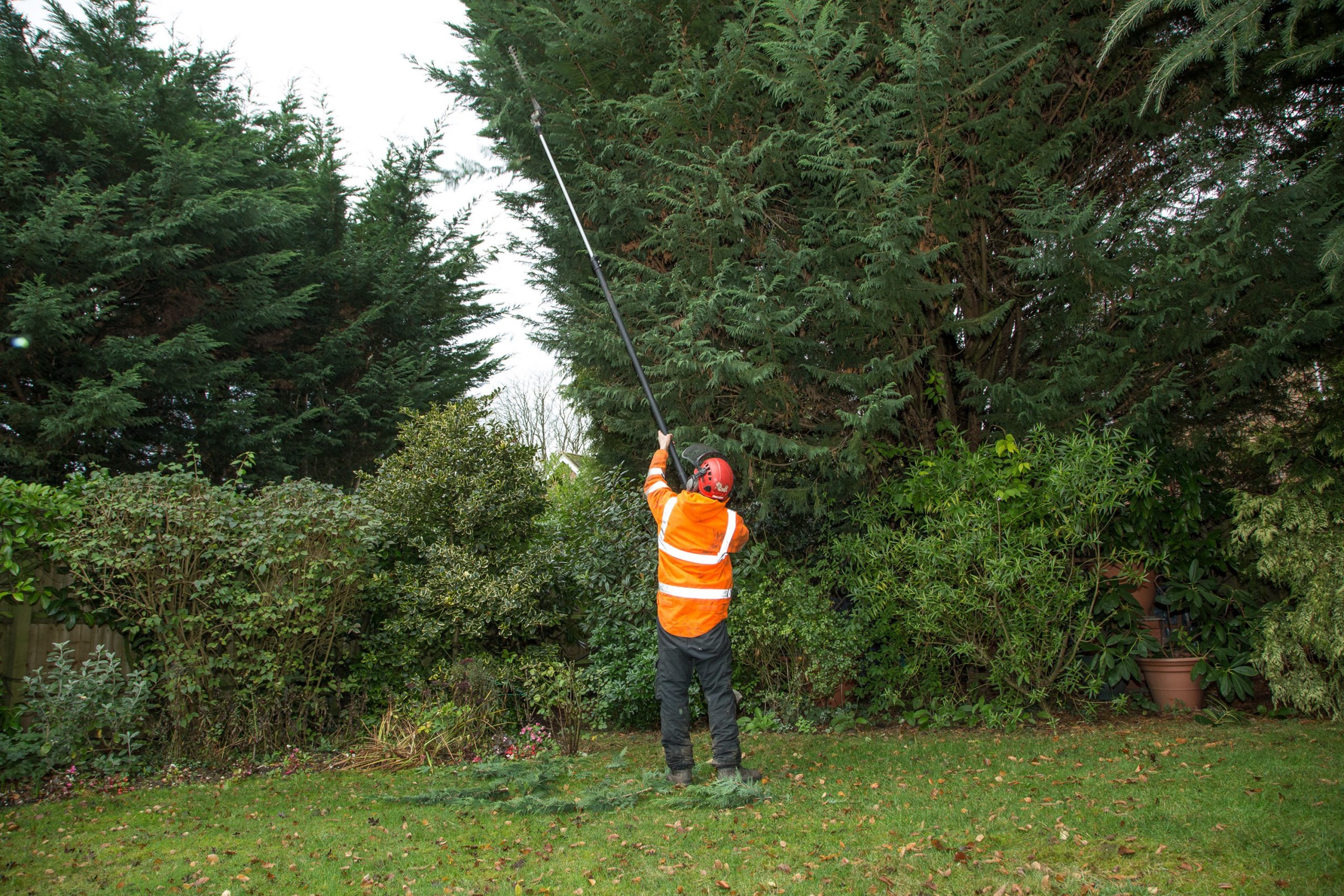 Professional Tree Maintenance by Heald green tree surgeon Experts