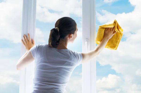 Schedule Window Cleaning Plano for Cleaner and Brighter Windows