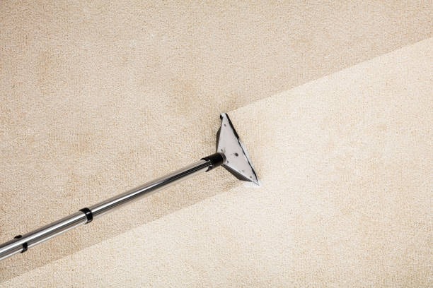 Invest in Rug Cleaning Phoenix for Better Care