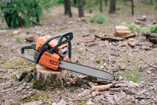 Shelton WA Tree Removal Services for Safe and Reliable Results