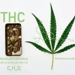 A Closer Look at Transparency and Quality in Hemp-Derived Cannabinoids